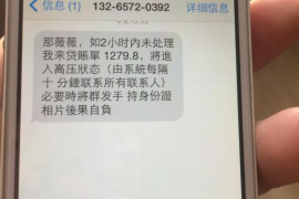 沙湾区为什么选择专业追讨公司来处理您的债务纠纷？